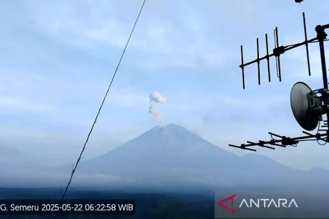 
 Gunung Semeru di Jawa Timur erupsi dengan letusan setinggi 700 meter di atas puncak pada Kamis (22/5/2025) pagi. ANTARA/HO-PVMBG/aa.