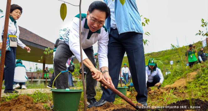 
 Chairperson of the Council of University Presidents of Thailand (CUPT), Wilert Puriwat hampir menyelesaikan proses penanaman. (Foto. Dok: Humas Otorita IKN)