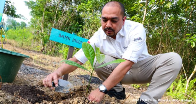
 Kegiatan Gerakan Tanam Kopi Liberika Sepaku dilaksanakan di Pendopo Kopi, Desa Tengin Baru, Sepaku pada hari Kamis (28/08/2025) mulai dari diskusi bersama, penanaman pohon kopi, hingga mencicipi secangkir kopi khas liberika. (Foto. Dok: Humas Otorita IKN)