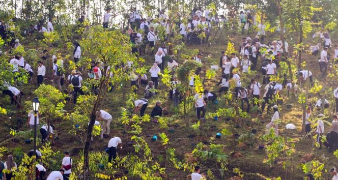
 Semarak perayaan HUT ke-80 Kemerdekaan Republik Indonesia turut menggema di Ibu Kota Nusantara (IKN) dengan digelarnya kegiatan penanaman pohon di kawasan Embung C ASN 2, KIPP IKN. (Foto. Dok: Humas Otorita IKN)