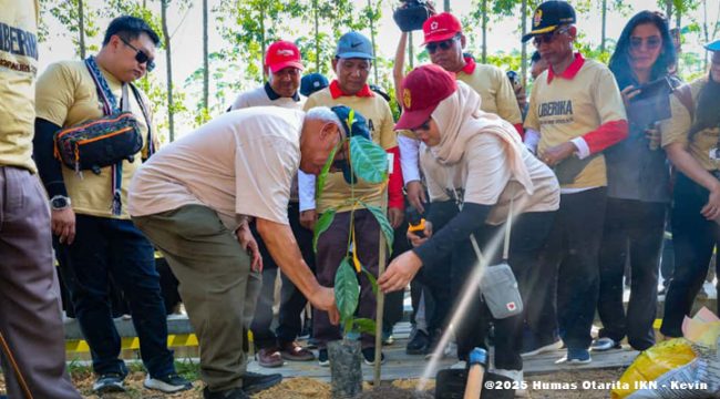 Berlokasi di DAS Sanggai, KIPP Nusantara, Ibu Kota Nusantara menorehkan rekor MURI terbaru sebagai aksi penanaman 1010 kopi liberika dengan jumlah peserta terbanyak sejumlah 1486 peserta, Jumat (10/10/2025).