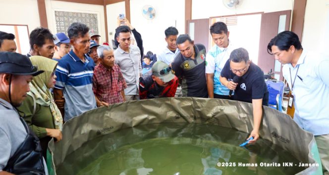 
 Sejumlah 28 peserta pelatihan diajak mengenali sekaligus mengikuti pelatihan budidaya ikan air tawar yang dilaksanakan oleh Otorita IKN di BPU Sepaku, Kamis (16/10/2025). Nantinya, para peserta akan mendapatkan fasilitas lengkap untuk memulai kegiatan budidaya ikan air tawar berupa lele, mulai dari benih ikan, pakan ikan, pompa, hingga kolam berukuran sedang dan besar.