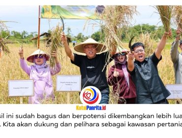 Panen perdana Padi Gogo sukses digelar di demplot Pertanian Konservasi Kelompok Tani Mekar Jaya, Muara Jawa, Kabupaten Kutai Kartanegara, Kamis (9/4/2026). Dok: Humas Otorita Ibu Kota Nusantara.