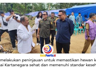 Bupati Kutai Kartanegara (Kukar), Aulia Rahman Basri melakukan monitoring kesehatan hewan kurban menjelang Hari Raya Iduladha 1447 Hijriah di kawasan Jalan Lais, Kelurahan Timbau, Kecamatan Tenggarong, Senin (25/5/2026). Foto: Akmal Hafidz Krisnowo.