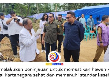 Bupati Kutai Kartanegara (Kukar), Aulia Rahman Basri melakukan monitoring kesehatan hewan kurban menjelang Hari Raya Iduladha 1447 Hijriah di kawasan Jalan Lais, Kelurahan Timbau, Kecamatan Tenggarong, Senin (25/5/2026). Foto: Akmal Hafidz Krisnowo.