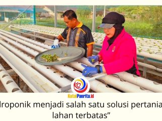 Kapolsek Loa Kulu bersama Bhayangkari Ranting Loa Kulu menanam 832 bibit selada hidroponik di Green House Bhayangkari sebagai wujud dukungan terhadap program ketahanan pangan nasional, Senin (22/6/2026). Foto: Dok. Polsek Loa Kulu.