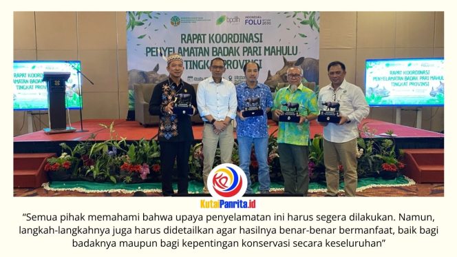 
 Balai Konservasi Sumber Daya Alam (BKSDA) Kalimantan Timur bersama berbagai pemangku kepentingan menggelar Rapat Koordinasi Penyelamatan Badak Pari Mahulu Tingkat Provinsi di Balikpapan, Senin (8/6/2026), guna mematangkan rencana translokasi Badak Pari sebagai langkah strategis untuk mencegah kepunahan Badak Kalimantan.