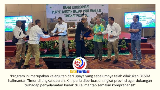 
 Pemerintah bersama berbagai pemangku kepentingan menyatukan komitmen dalam Rapat Koordinasi Penyelamatan Badak Pari Mahulu Tingkat Provinsi di Balikpapan, Senin (8/6/2026), untuk memperkuat upaya translokasi Badak Pari Mahulu sebagai langkah strategis menyelamatkan Badak Kalimantan (Dicerorhinus sumatrensis harrissoni) yang kini berada di ambang kepunahan.