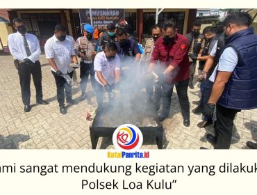 Kapolsek Loa Kulu, AKP Hari Supranoto, bersama Camat Loa Kulu, Ardiansyah, didampingi Kanit Reskrim Polsek Loa Kulu, Iptu Danto Utomo, Jaksa Penuntut Umum Kejaksaan Negeri Kutai Kartanegara, Riko Kriswantoro, Panitera Pengadilan Negeri Tenggarong, Rudi Novarin Anwar, KBO Satresnarkoba Polres Kutai Kartanegara, Iptu Sugiono, serta Sekretaris Desa Loa Kulu Kota, Fajar Rian Saputra, memusnahkan barang bukti narkotika jenis ganja dalam kegiatan yang digelar di Mapolsek Loa Kulu, Rabu (3/6/2026). Foto: Fairuzzabady.