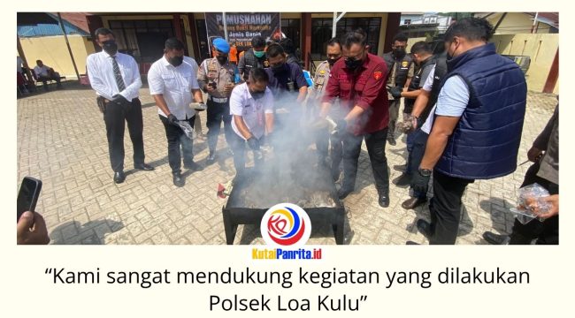 Kapolsek Loa Kulu, AKP Hari Supranoto, bersama Camat Loa Kulu, Ardiansyah, didampingi Kanit Reskrim Polsek Loa Kulu, Iptu Danto Utomo, Jaksa Penuntut Umum Kejaksaan Negeri Kutai Kartanegara, Riko Kriswantoro, Panitera Pengadilan Negeri Tenggarong, Rudi Novarin Anwar, KBO Satresnarkoba Polres Kutai Kartanegara, Iptu Sugiono, serta Sekretaris Desa Loa Kulu Kota, Fajar Rian Saputra, memusnahkan barang bukti narkotika jenis ganja dalam kegiatan yang digelar di Mapolsek Loa Kulu, Rabu (3/6/2026). Foto: Fairuzzabady.