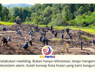 Otorita IKN memperkuat konsep Forest City melalui pendekatan rewilding, yakni memulihkan ekosistem secara menyeluruh agar pembangunan infrastruktur berjalan selaras dengan pelestarian dan pemulihan fungsi alam. Foto: Humas Otorita IKN.