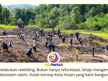 Otorita IKN memperkuat konsep Forest City melalui pendekatan rewilding, yakni memulihkan ekosistem secara menyeluruh agar pembangunan infrastruktur berjalan selaras dengan pelestarian dan pemulihan fungsi alam. Foto: Humas Otorita IKN.