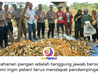Kapolsek Palaran AKP Wawan Gunawan, S.H., M.H., memimpin panen raya jagung bersama Kelompok Tani Tunas Sari di Jalan Rambutan RT 45, Kelurahan Bukuan, Kecamatan Palaran, Samarinda, Rabu (2/9/2026).