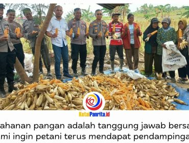 Kapolsek Palaran AKP Wawan Gunawan, S.H., M.H., memimpin panen raya jagung bersama Kelompok Tani Tunas Sari di Jalan Rambutan RT 45, Kelurahan Bukuan, Kecamatan Palaran, Samarinda, Rabu (2/9/2026).
