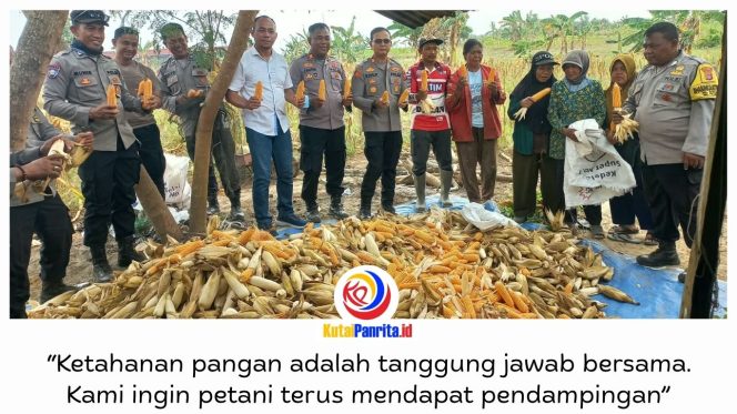 
 Kapolsek Palaran AKP Wawan Gunawan, S.H., M.H., memimpin panen raya jagung bersama Kelompok Tani Tunas Sari di Jalan Rambutan RT 45, Kelurahan Bukuan, Kecamatan Palaran, Samarinda, Rabu (2/9/2026).