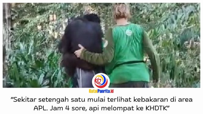 
 Karhutla mengancam KHDTK Samboja, Kutai Kartanegara, hingga mendekati area rehabilitasi orangutan Yayasan Jejak Pulang. Sebanyak 11 orangutan berhasil dievakuasi ke fasilitas aman di Kilometer 38 Samboja tanpa korban jiwa.