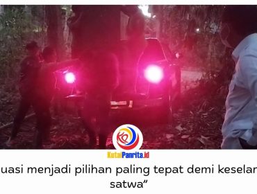 Sebanyak 11 orangutan yatim piatu berhasil dievakuasi dari area rehabilitasi Yayasan Jejak Pulang setelah karhutla merambat dari APL ke KHDTK Samboja, Kutai Kartanegara, Selasa (1/9/2026). Evakuasi dilakukan menyusul kobaran api yang membesar akibat angin kencang.