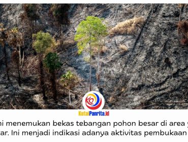 Kebakaran di kawasan Bukit Tengkorak, Desa Suko Mulyo, Kecamatan Sepaku, mendapat perhatian serius Otorita IKN. Selain menemukan sejumlah titik kebakaran yang berpindah-pindah, Otorita IKN juga mendapati indikasi pembukaan lahan di area terdampak. Foto: Humas Otorita IKN.