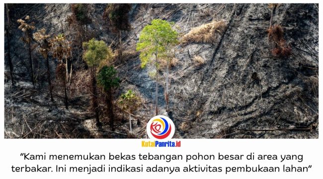 Kebakaran di kawasan Bukit Tengkorak, Desa Suko Mulyo, Kecamatan Sepaku, mendapat perhatian serius Otorita IKN. Selain menemukan sejumlah titik kebakaran yang berpindah-pindah, Otorita IKN juga mendapati indikasi pembukaan lahan di area terdampak. Foto: Humas Otorita IKN.