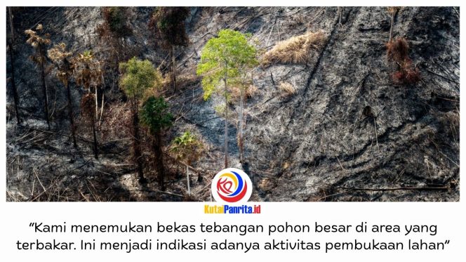 
 Kebakaran di kawasan Bukit Tengkorak, Desa Suko Mulyo, Kecamatan Sepaku, mendapat perhatian serius Otorita IKN. Selain menemukan sejumlah titik kebakaran yang berpindah-pindah, Otorita IKN juga mendapati indikasi pembukaan lahan di area terdampak. Foto: Humas Otorita IKN.